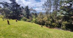 Se vende lote Envigado Loma del Escobero (	192738494)