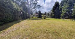 Se vende lote Envigado Loma del Escobero (	192738494)