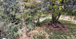 Se vende lote Envigado Loma del Escobero (	192738494)