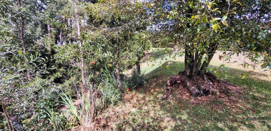 Se vende lote Envigado Loma del Escobero (	192738494)