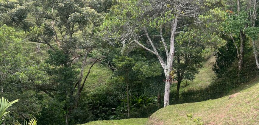 Se vende Finca Girardota  Juan Cojo (193028646)