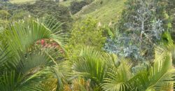 Se vende Finca Girardota  Juan Cojo (193028646)