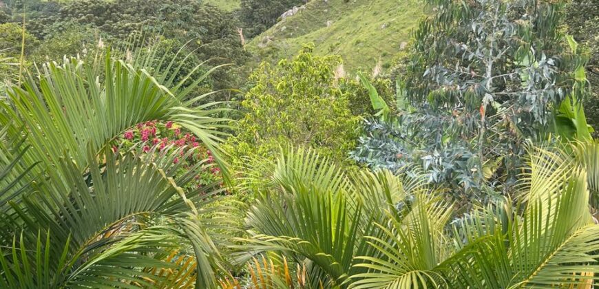 Se vende Finca Girardota  Juan Cojo (193028646)