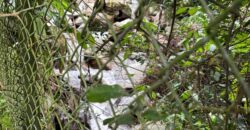 Finca en arriendo Envigado – Sector El Salado (193290824)