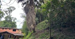 Finca en arriendo Envigado – Sector El Salado (193290824)