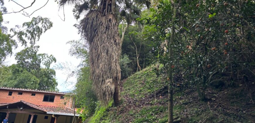 Finca en arriendo Envigado – Sector El Salado (193290824)