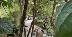 Finca en arriendo Envigado – Sector El Salado (193290824)