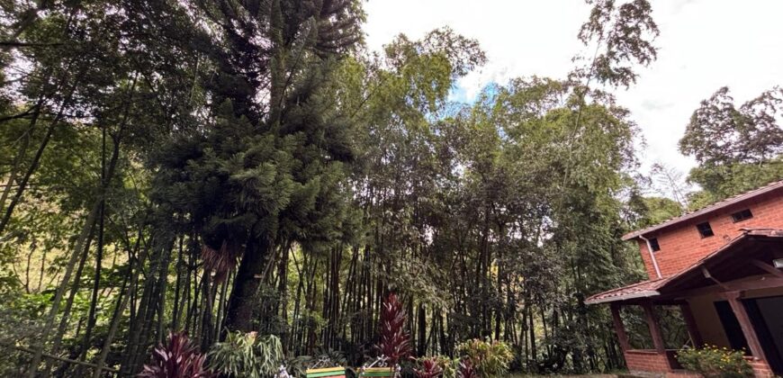 Finca en arriendo Envigado – Sector El Salado (193290824)