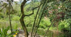 Se arrienda casa Envigado El Dorado (193865540)